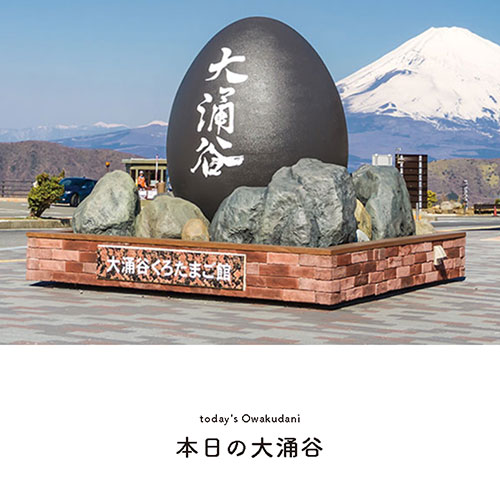 本日の大涌谷
